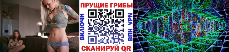 Купить где  Бавлы  Галлюциногенные грибы прущие грибы 